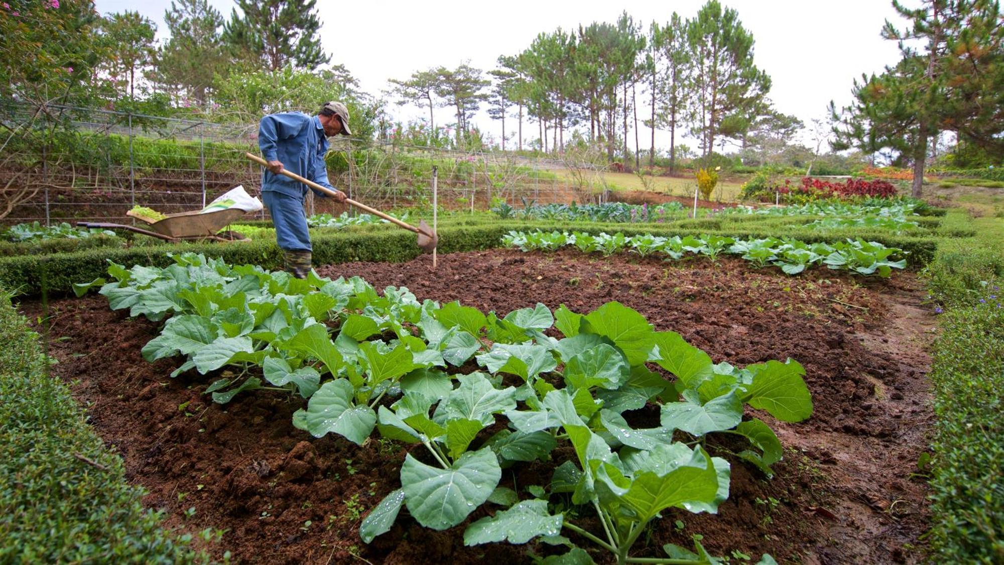 Binh An Village Resort Dalat Eksteriør bilde