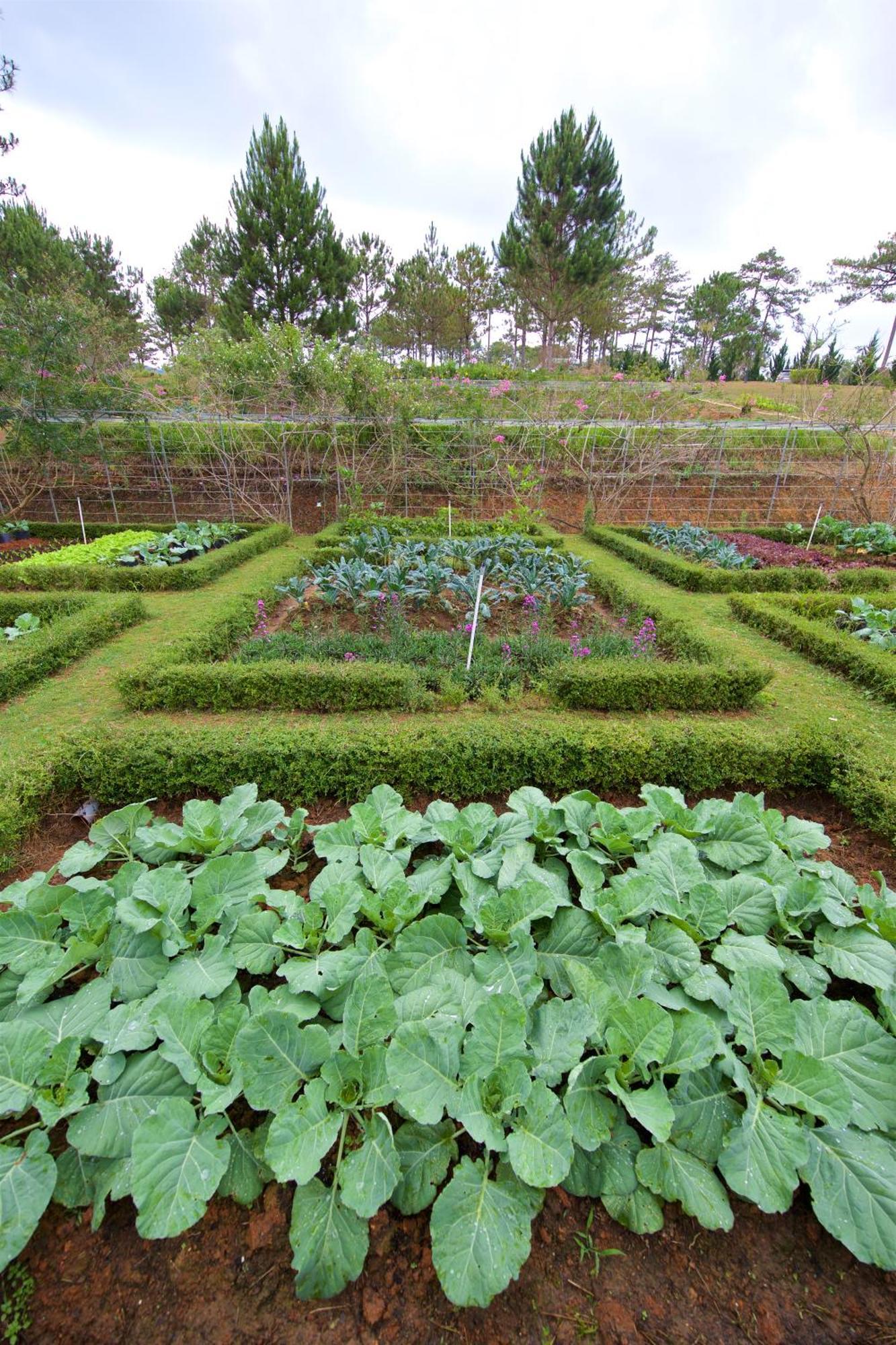 Binh An Village Resort Dalat Eksteriør bilde